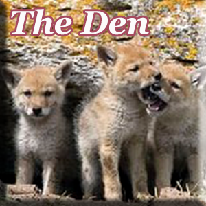 The Den